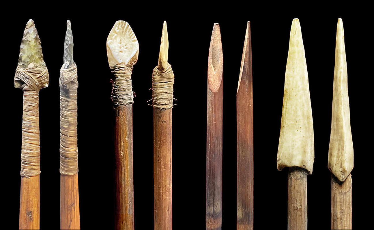 Arrows in the Musée du quai Branly collection