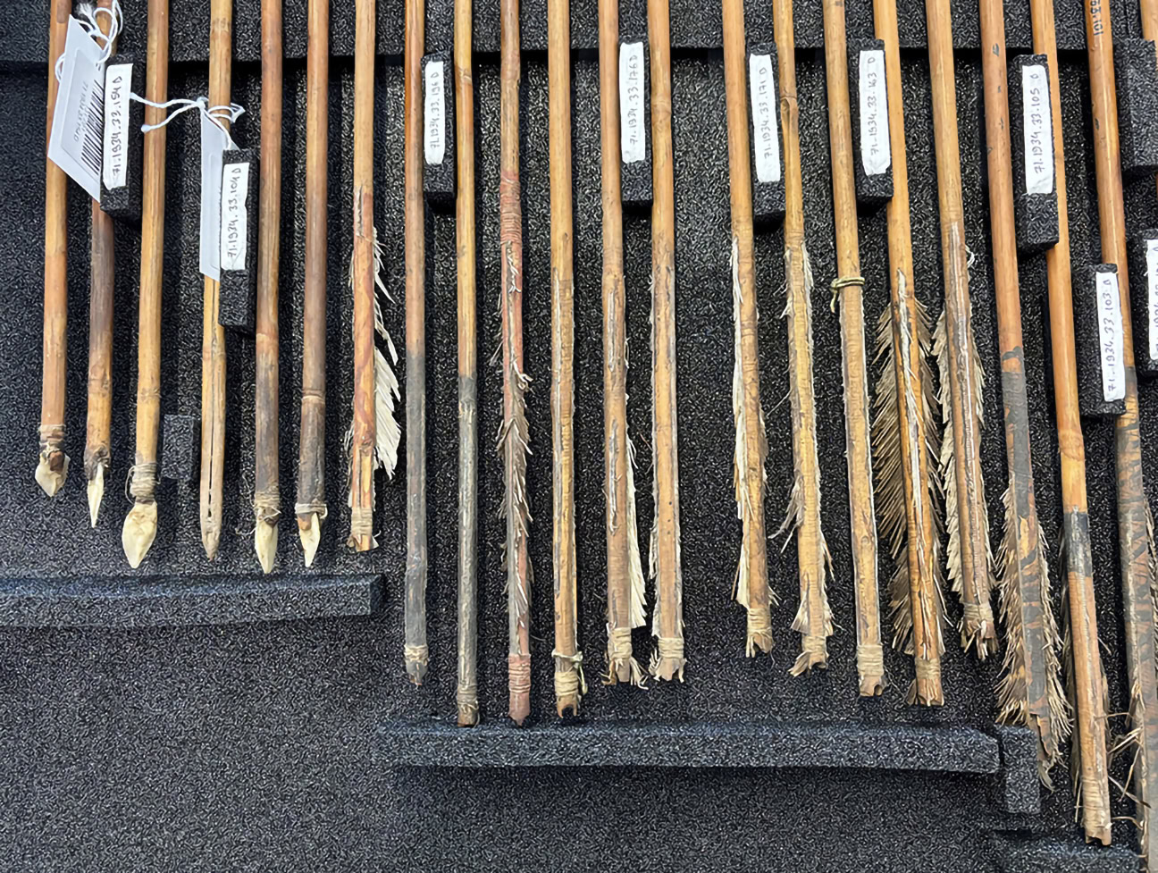 Points and fletchings on a few of the arrows in the Musée du quai Branly collection