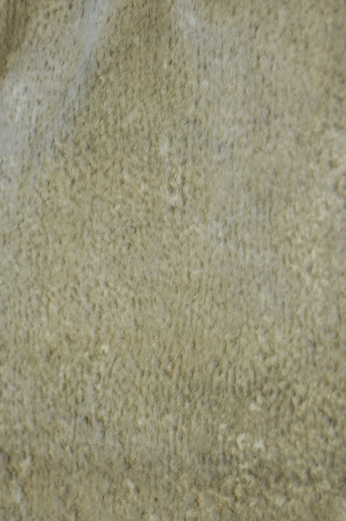 300-year old bison robe in the Branly collection