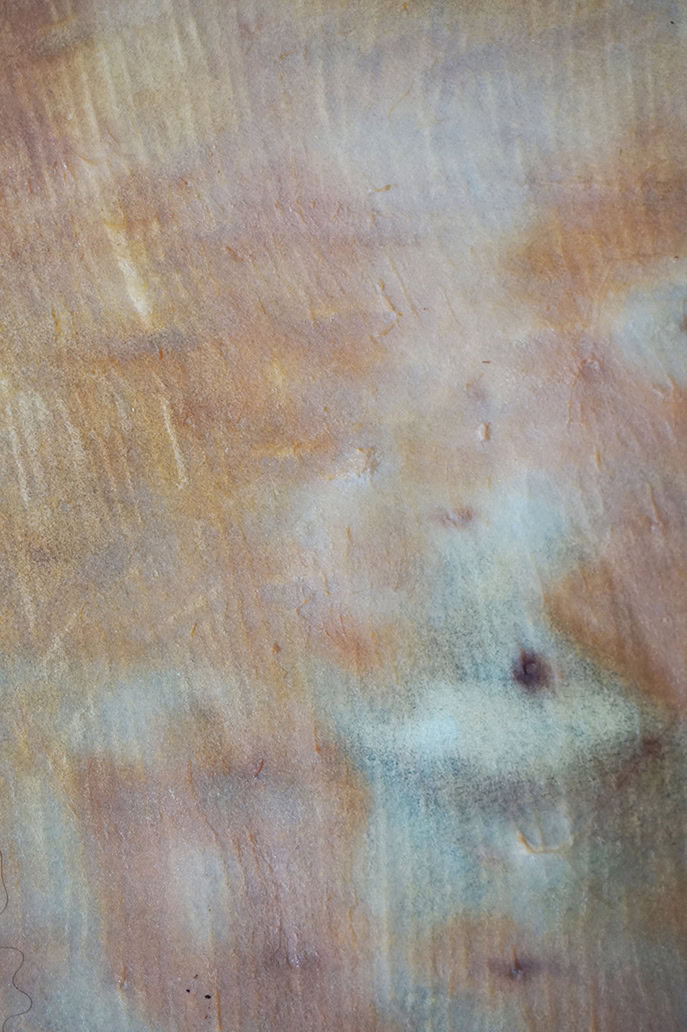 Marks left on the fresh bison hide by the toothed flesher