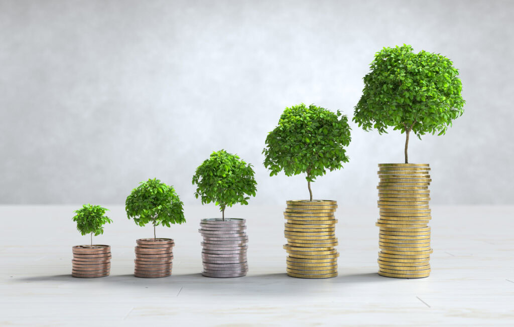 Professional wealth management, wealth management, thomas fritz