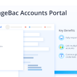 Introducing the Accounts Portal
