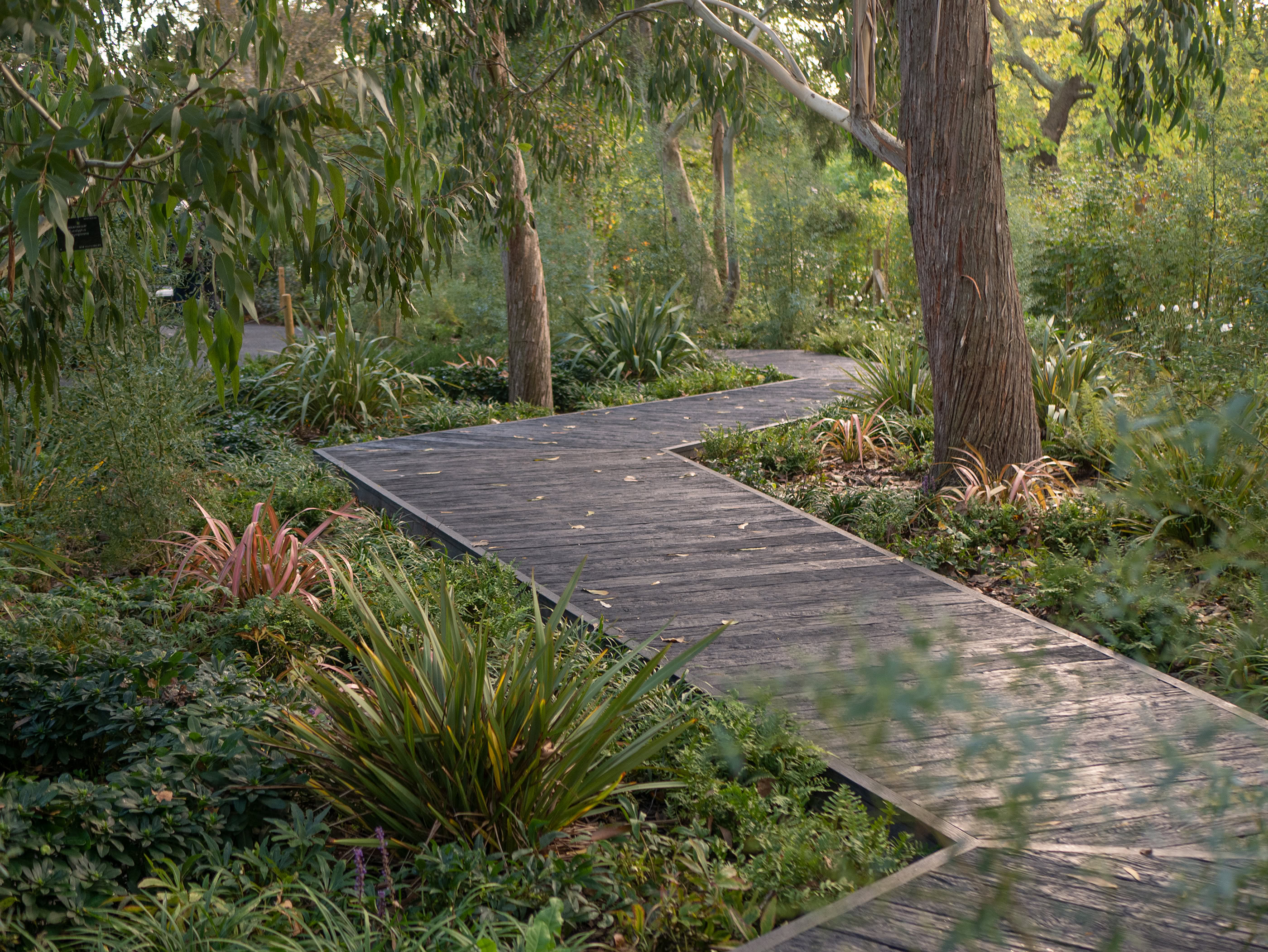 Kew Gardens cameo case study image