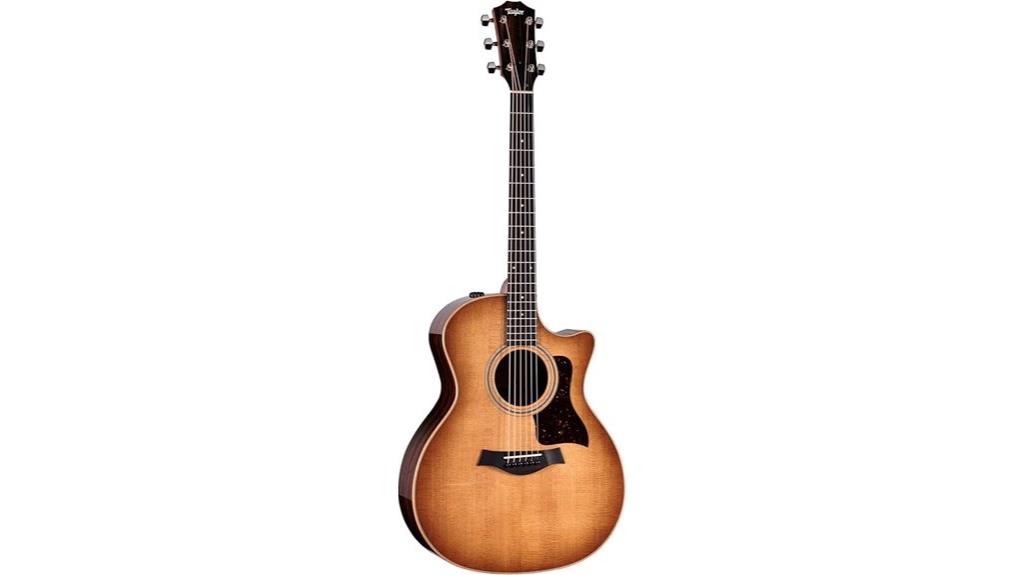 Studio 314ce Taylor Review: A Strummer's Delight