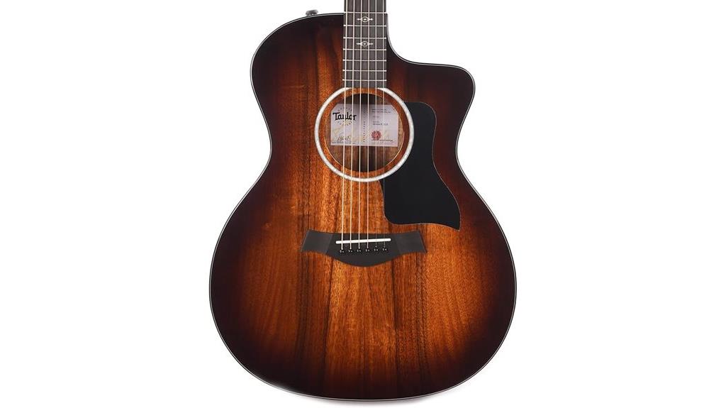 Taylor 224ce-K DLX Review: A Guitar Masterpiece