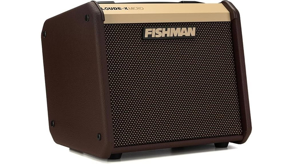 Fishman Loudbox Micro Review: Powerful Acoustic Amplifier