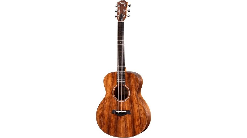 Taylor GS Mini-e Review: A Sound Investment