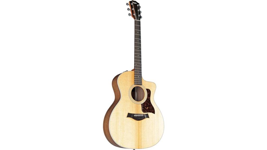 Taylor 214ce Guitar Review: A Strummer's Dream