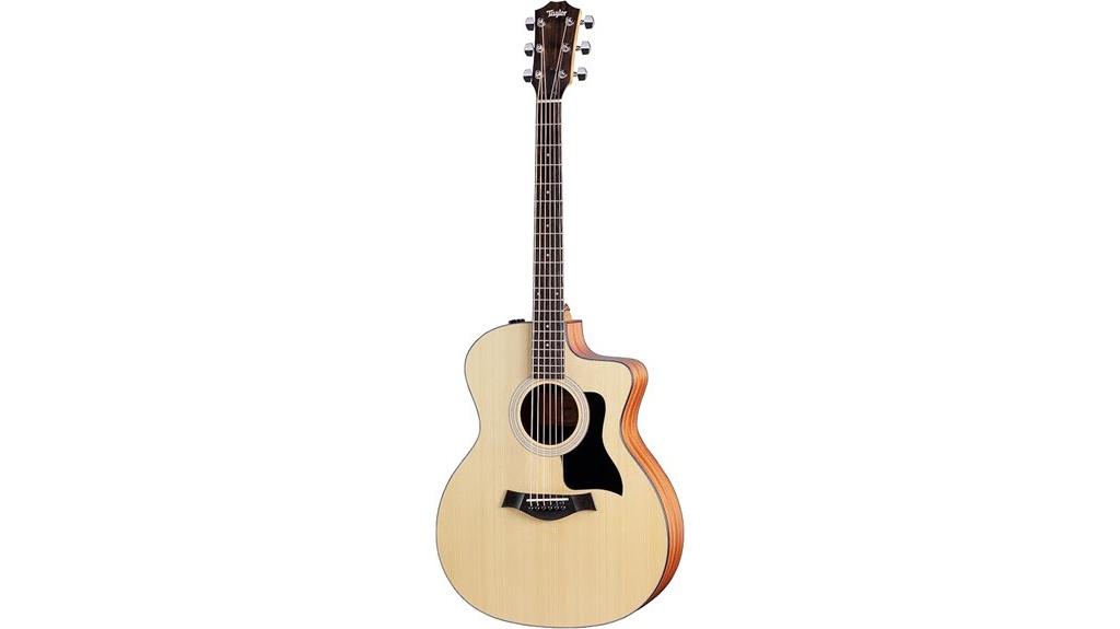 Taylor 114ce Acoustic Guitar Review