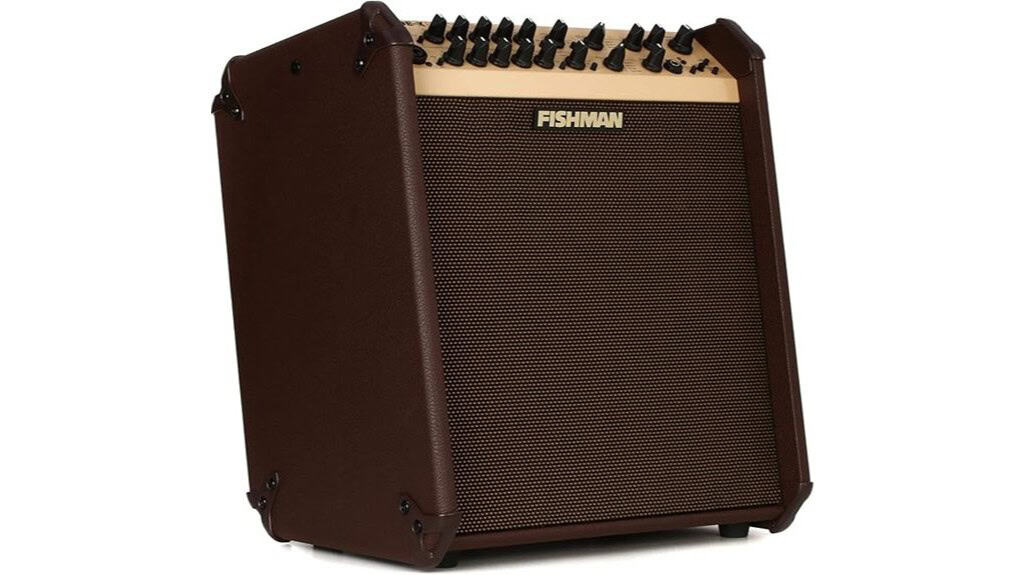 Fishman Loudbox Performer BT Review
