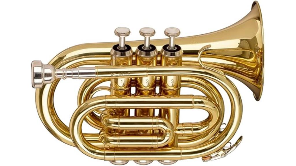 Stagg WS-TR245S Bb Pocket Trumpet Review