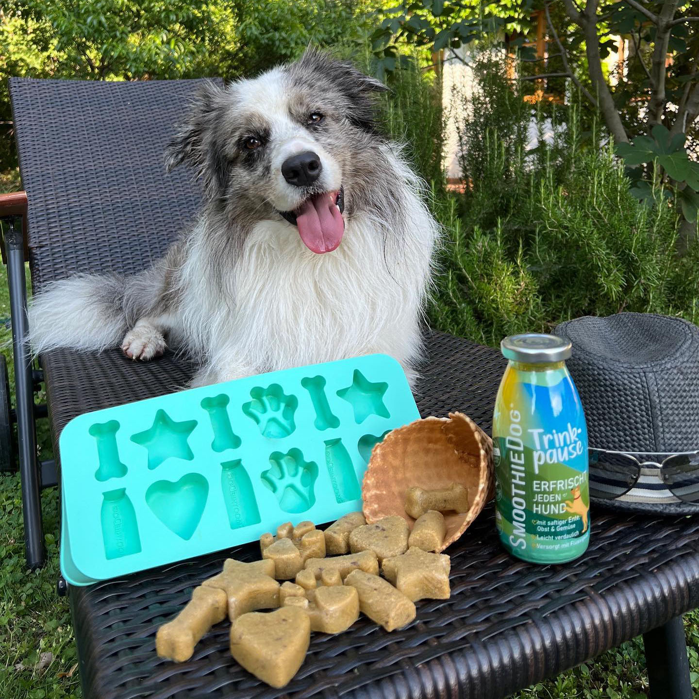 IJsblokjesvorm - SmoothieDog