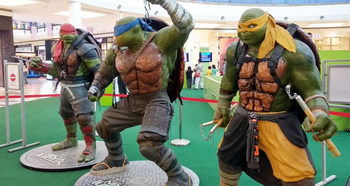 How Old Are The Teenage Mutant Ninja Turtles? | 8-Bit Pickle