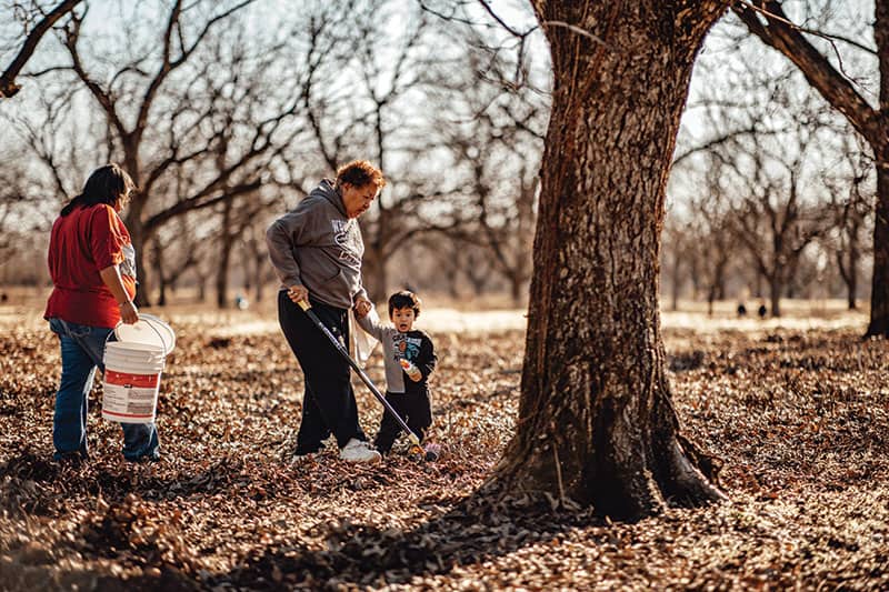 Elder Pecan Harvest Event