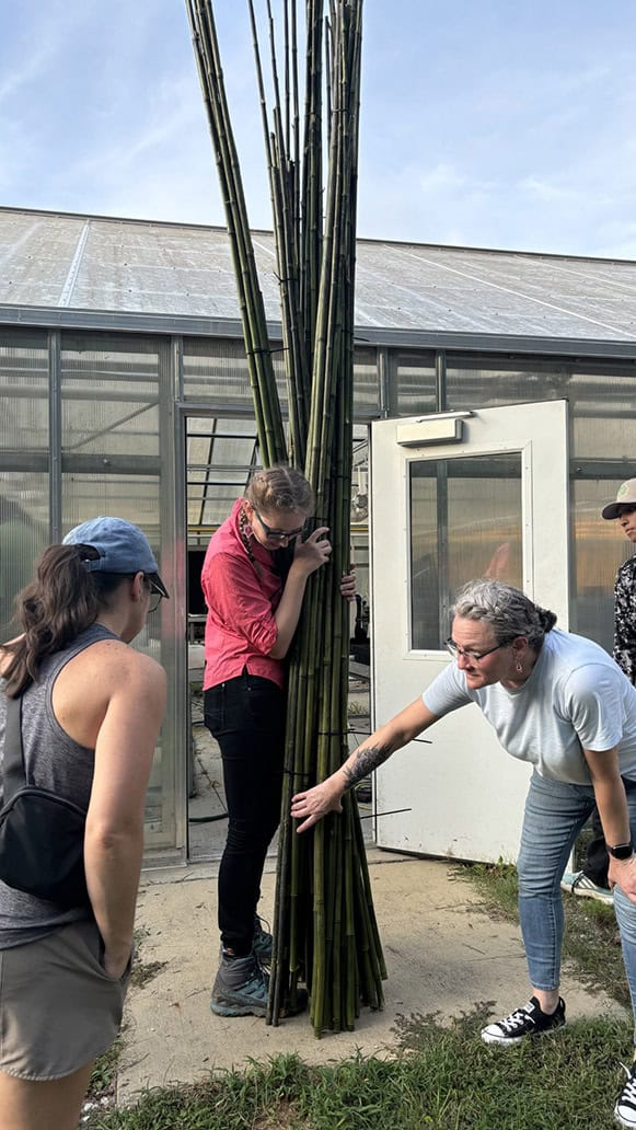 Preservation efforts of Native rivercane