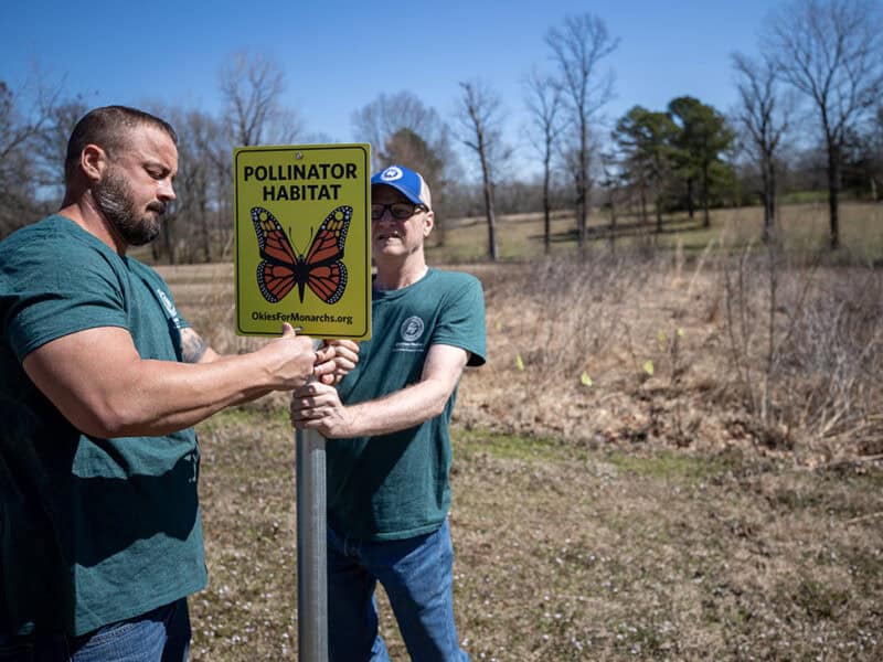two men assemble a pollinator habitat sign
