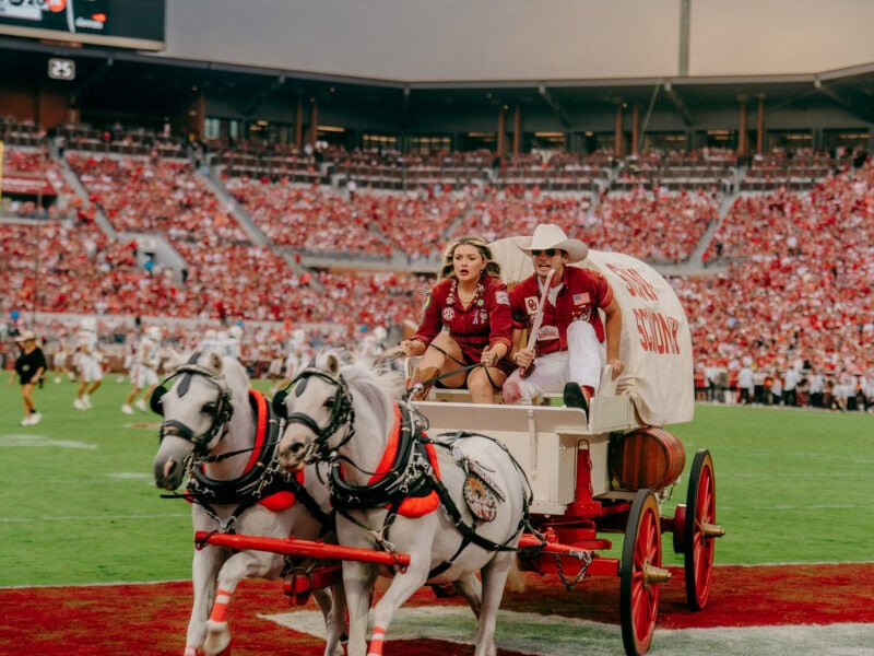 A young woman drives a horse drawn wagon during a football game.