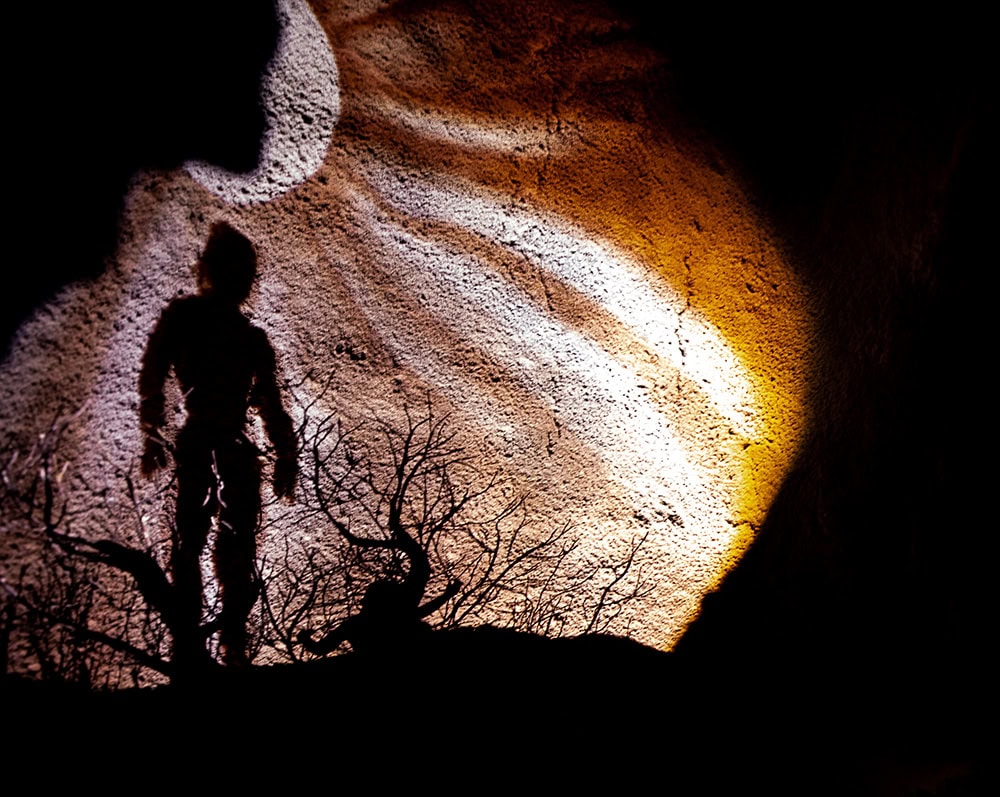 The shadow image of a man rising up from a tree.
