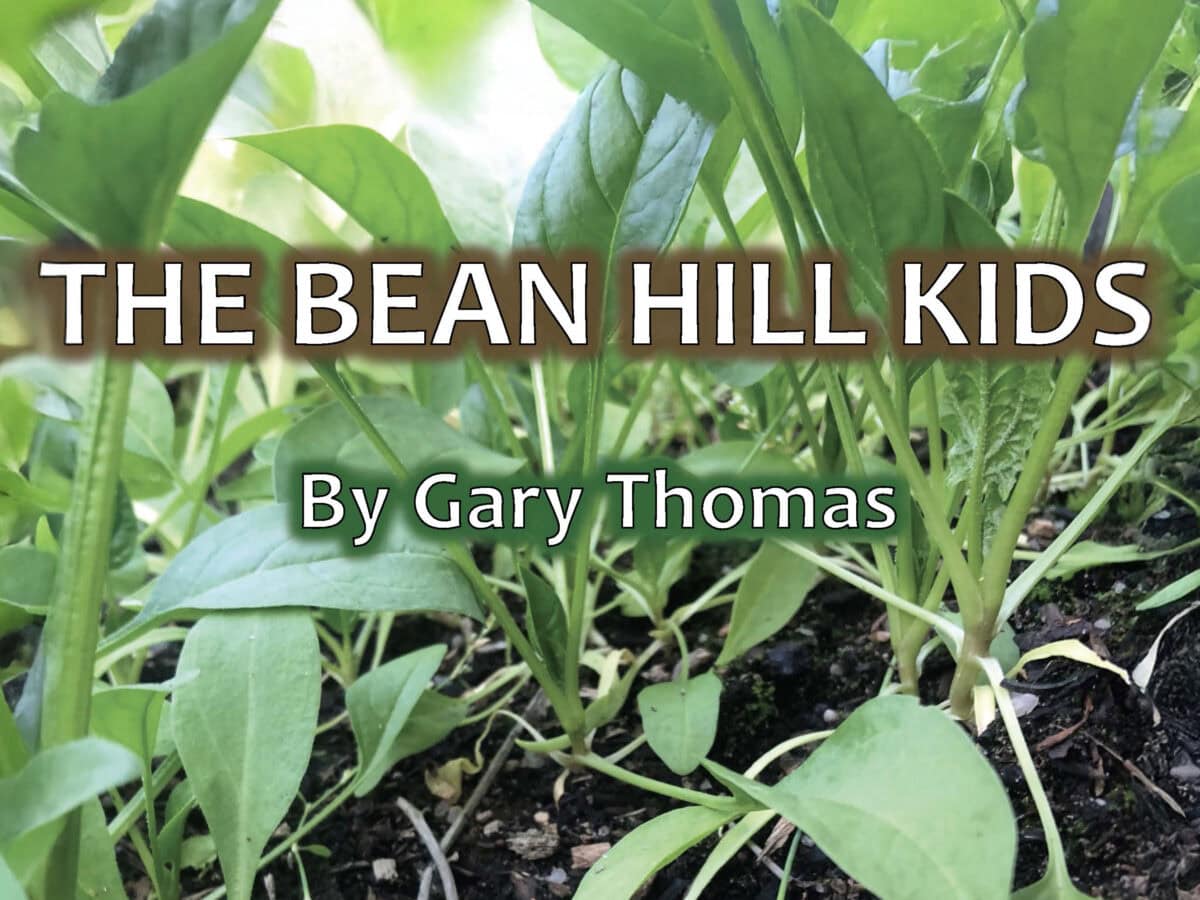 The cover image for the Bean Hill Kids.