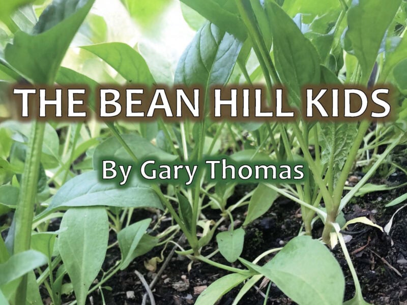 The cover image for the Bean Hill Kids.