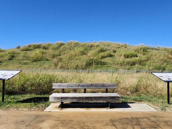 Pollinator habitats take root with support from the Choctaw Nation