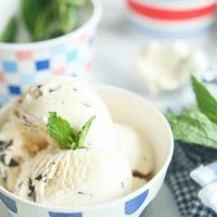 Chocolate Chip Ice Cream