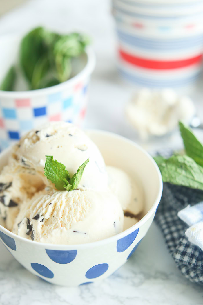 Chocolate Chip Ice Cream