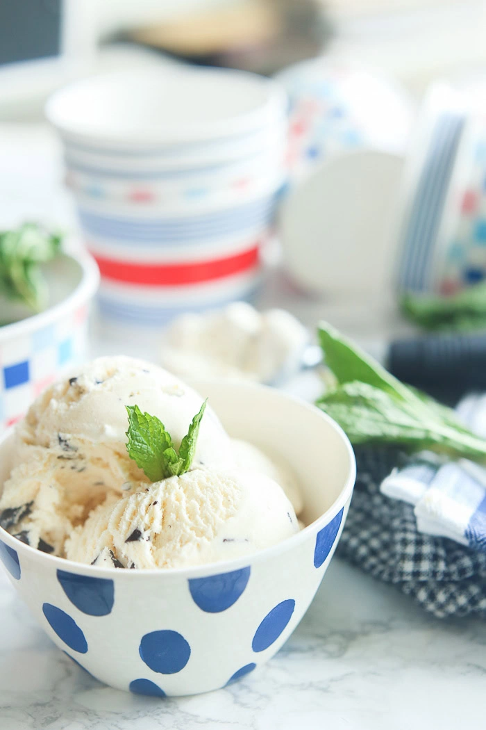 Chocolate Chip Ice Cream