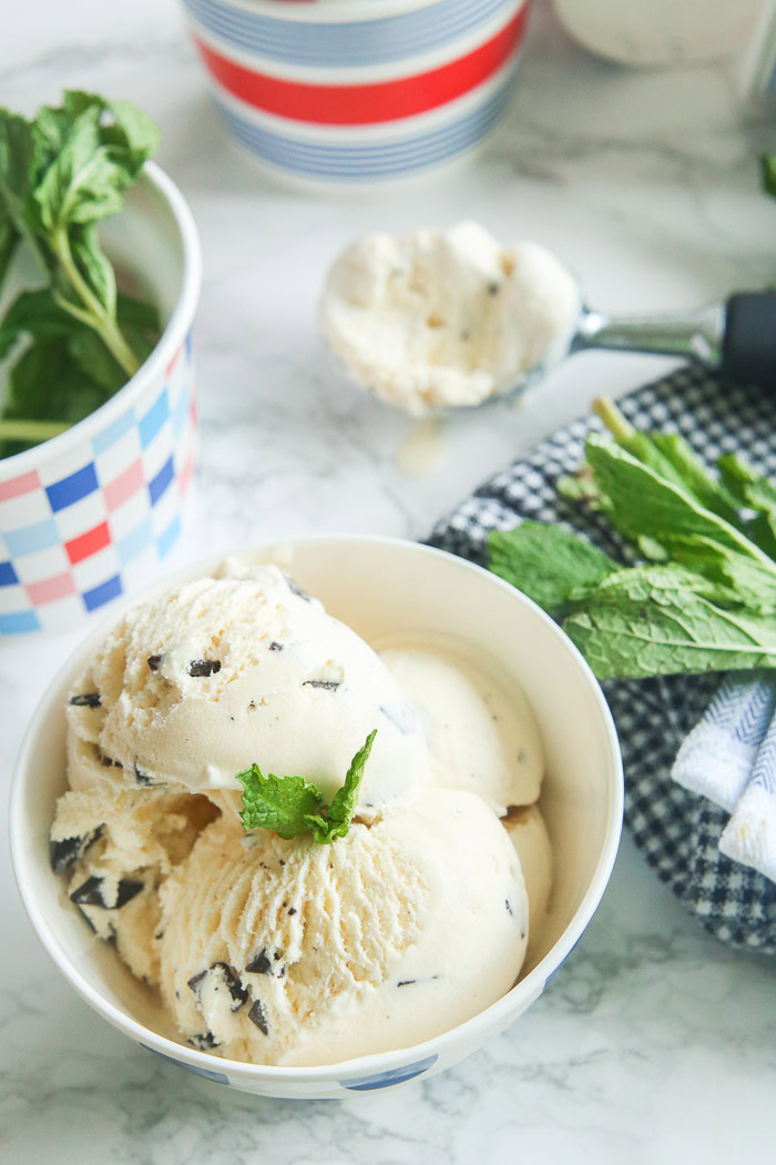 Chocolate Chip Ice Cream