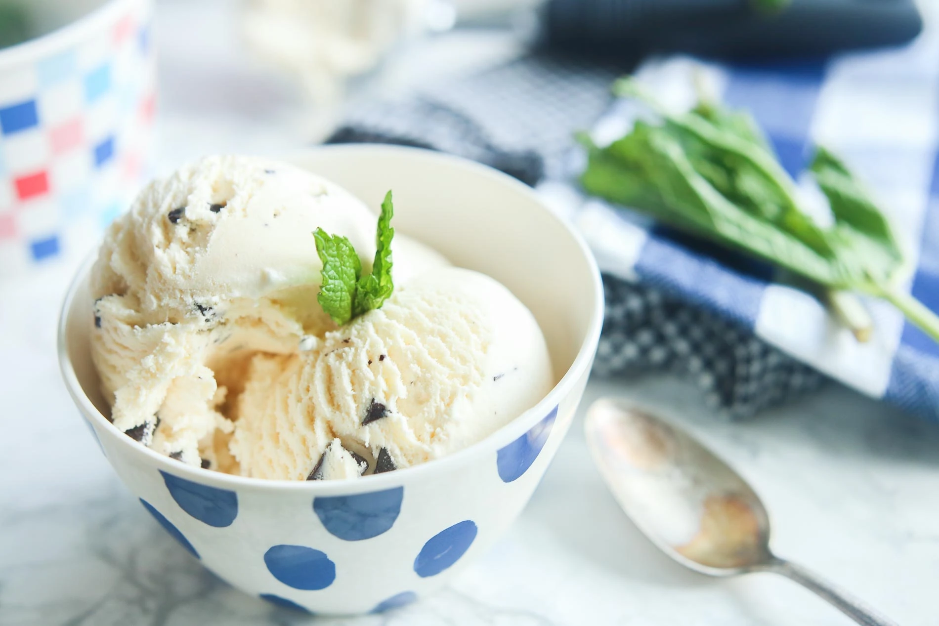 Chocolate Chip Ice Cream