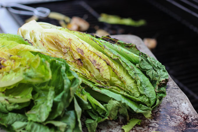 This Grilled Shrimp + Chicken Caesar Salad is so easy and tasty for a healthy summer meal! This recipe can be found at www.ahotsouthernmess.com