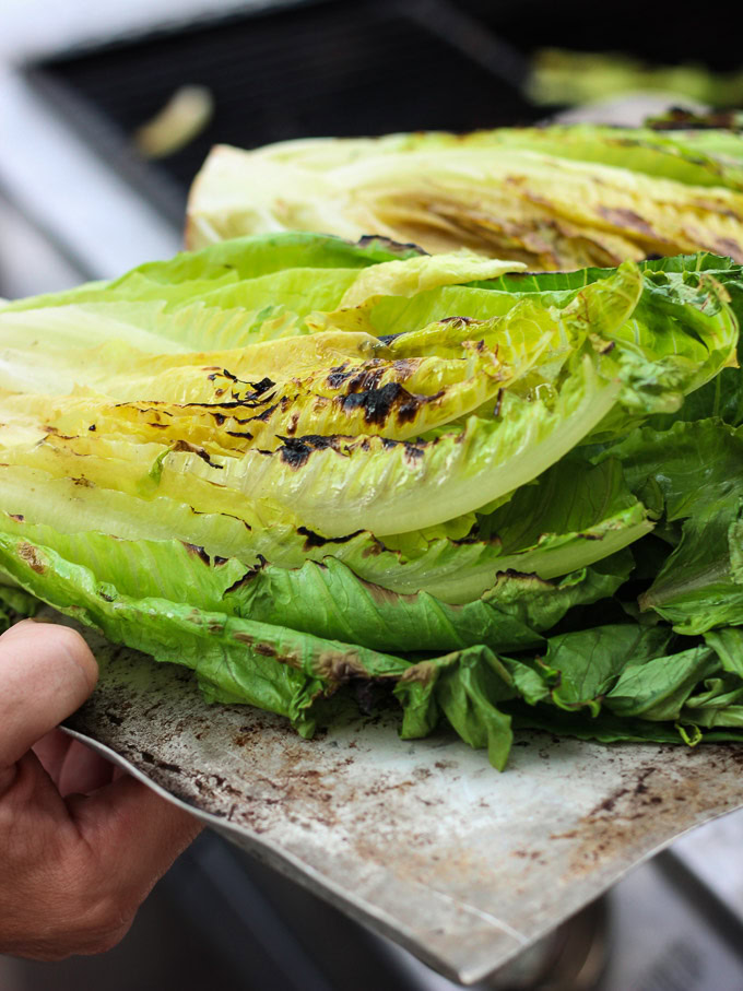 This Grilled Shrimp + Chicken Caesar Salad is so easy and tasty for a healthy summer meal! This recipe can be found at www.ahotsouthernmess.com