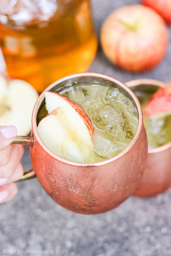 Bourbon is neatly blended with apple cider and orange juice over a mug of ice and raw sugars. Sweet enough to guzzle, stiff enough to sip. A chilled fall drink that’s the perfect blend of sweet and manly, perfect as a swift Fall drink in the warm southern states. www.ahotsouthernmess.com