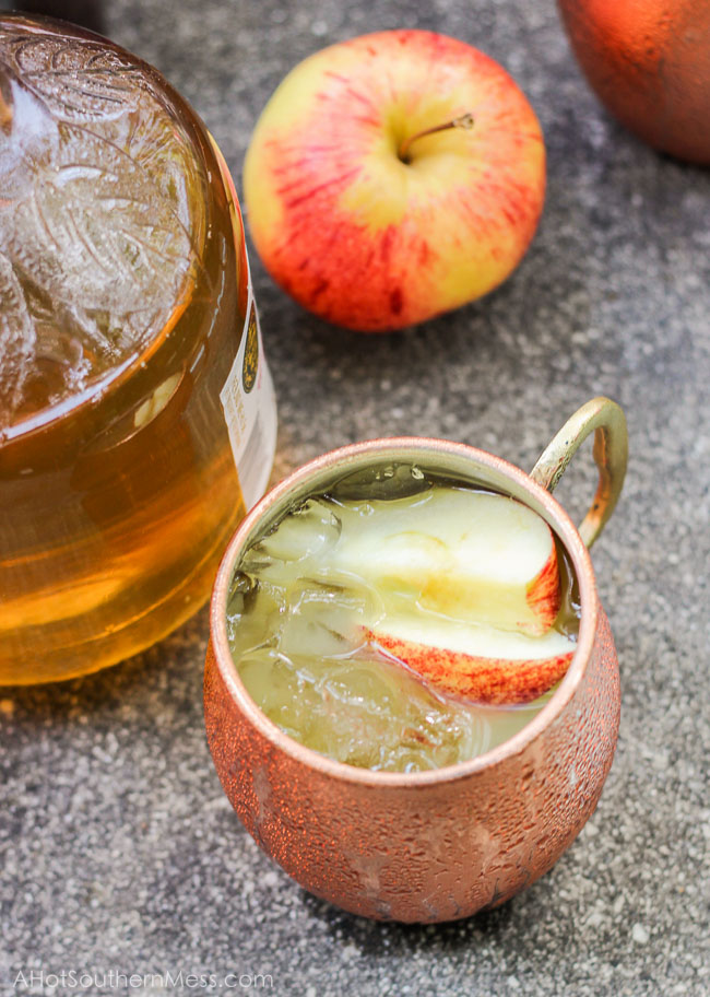 Bourbon is neatly blended with apple cider and orange juice over a mug of ice and raw sugars. Sweet enough to guzzle, stiff enough to sip. A chilled fall drink that’s the perfect blend of sweet and manly, perfect as a swift Fall drink in the warm southern states. www.ahotsouthernmess.com