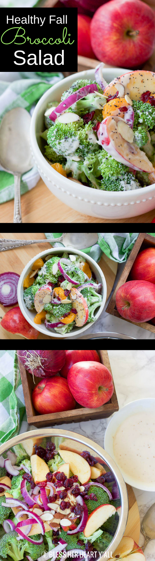 This healthy fall broccoli salad is gluten-free, grain-free, vegetarian, and is with bursting with autumn flavor!  Greek yogurt, honey, lime juice, fresh and dried fruits, and almonds are tossed together to create a light, sweet, and creamy drizzle that's perfect for any fall table setting!