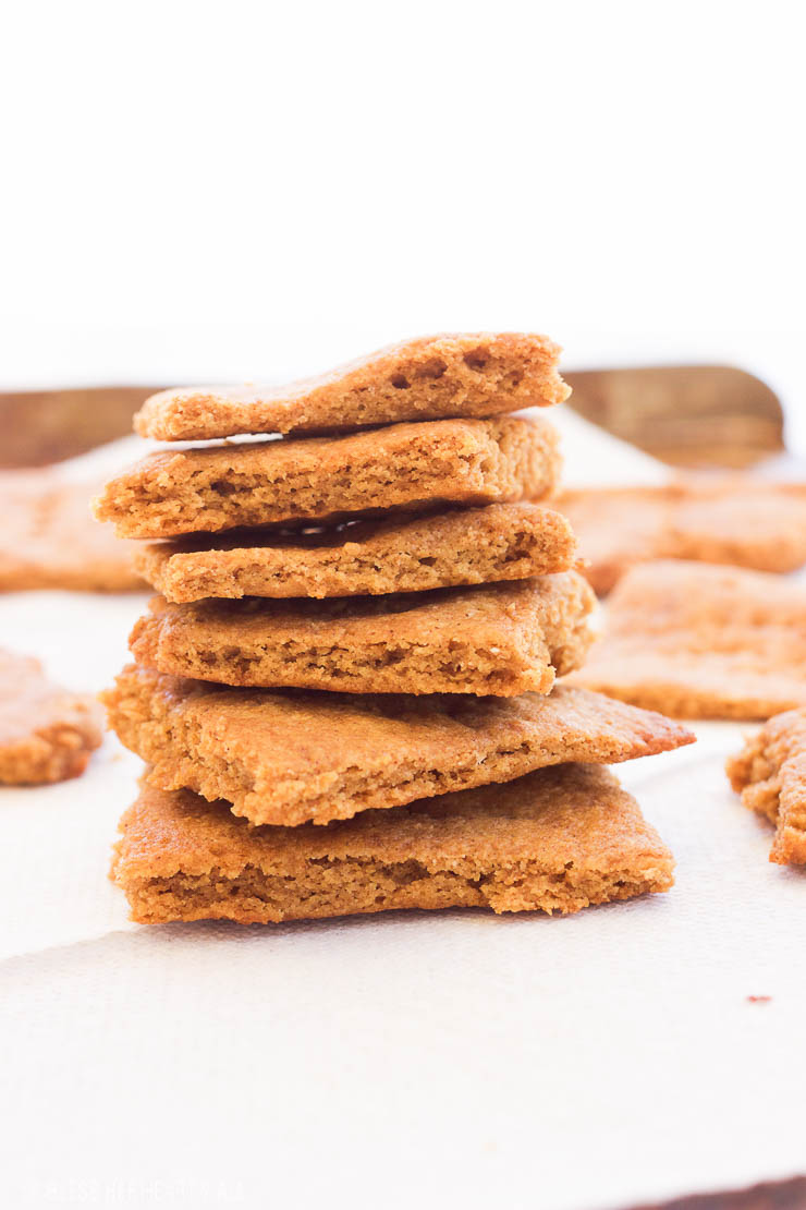 Paleo Gluten-Free Graham Crackers || These paleo gluten-free graham crackers are an easy 15 minute recipe that uses simple ingredients to make moist on the inside and toasted on the outside squares just in time for s'more season! www.BlessHerHeartYall.com