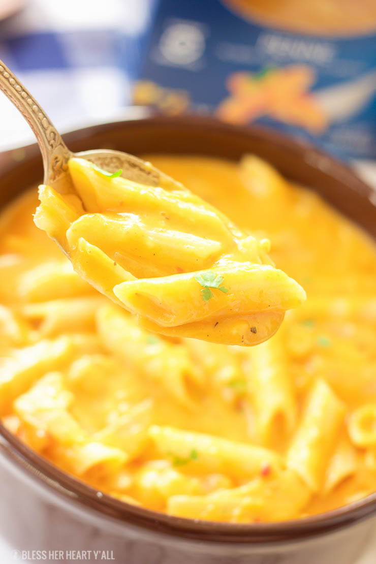 This gluten-free pumpkin macaroni and cheese recipe is the ultimate cheesy fall comfort food. Gluten-free noodles are cooked in a pumpkin, sage, and nutmeg sauce and just before serving are smothered in gooey cheddar and parmesan cheeses.