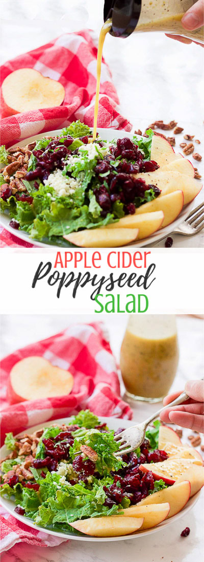 This apple cider poppyseed salad throws the season's best combination of juicy apples, crunchy pecans, sweet cranberries, and savory blue cheese crumbles over a bed of chopped kale and drizzles on a 2-minute apple cider poppyseed vinaigrette.  It's big on nutrients and fall flavors and is gluten-free and paleo-friendly! www.blessherheartyall.com