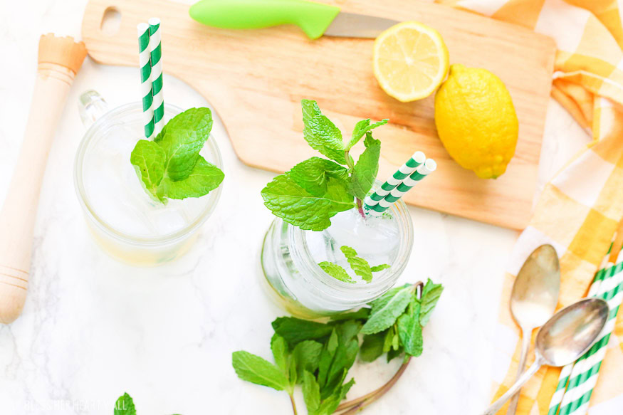 This lemonade mint julep recipe blends summer's most refreshing fresh squeezed lemonade and stirs it up into spring's hottest mint julep cocktail! Lemon, bourbon, mint, and sweet that's perfect for an outdoor party, watching the Kentucky Derby, or just a relaxing time outside on your back porch!