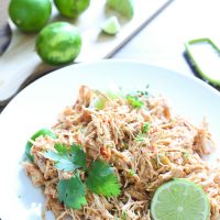 Salsa Lime Chicken