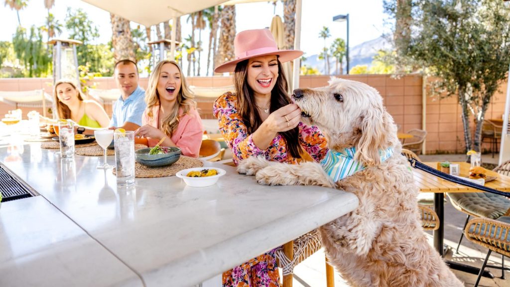 Palm Springs Dog Park Palm Springs Dog Parks