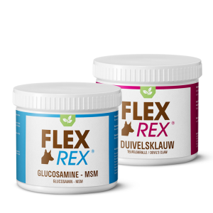 FlexRex Senior Combi Deal