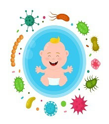 baby bacteria