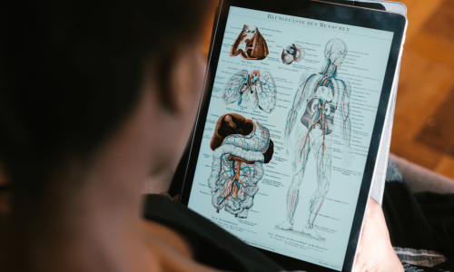 A woman studying anatomy on a tablet