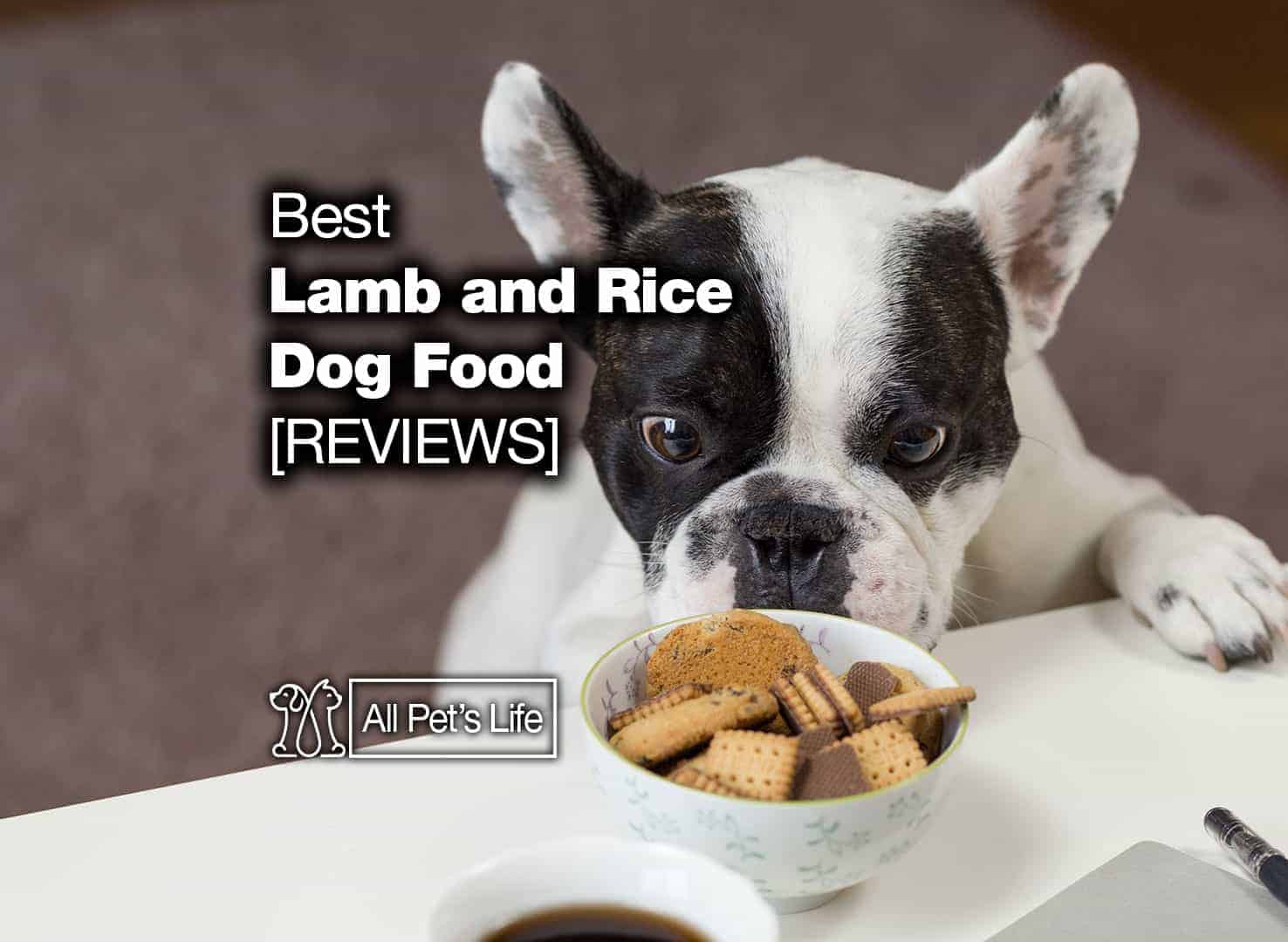 canidae lamb and rice dog food reviews