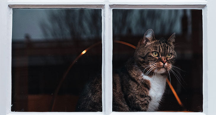 Une Tablette Lumineuse Pour Decalquer On Adore