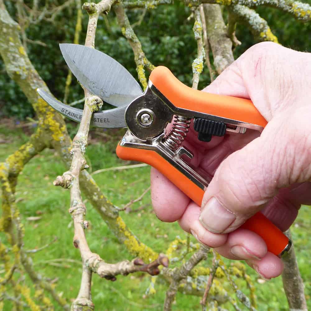Compact Bypass Pruner HG Promotions LTD