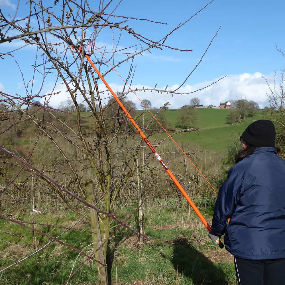 Telescopic 2 Pulley Ratchet Action Pole Pruner with saw HG Promotions LTD