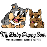 MyBabyPuppy.com