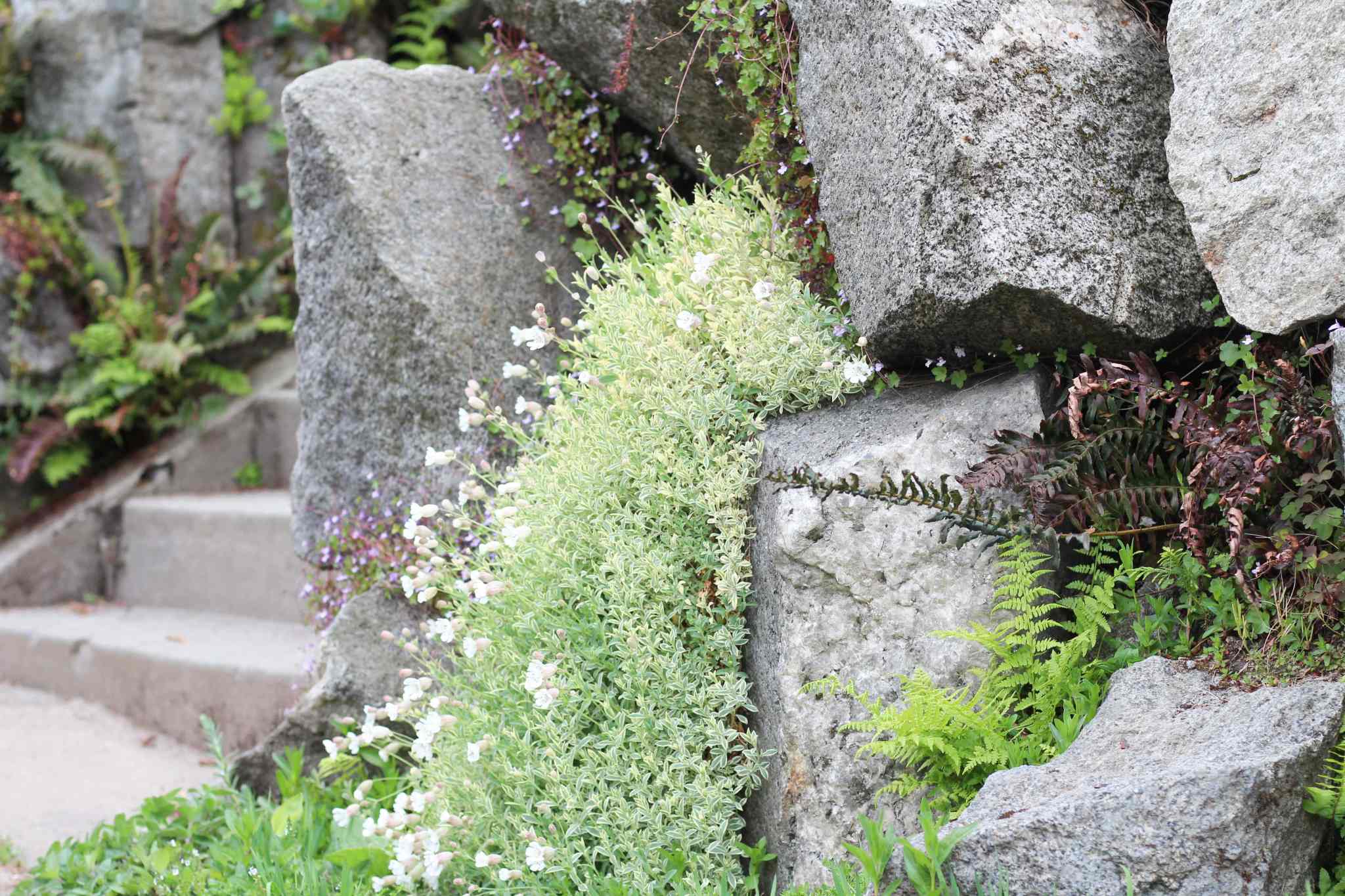 Rockery Wall Transformation This Dear Casa